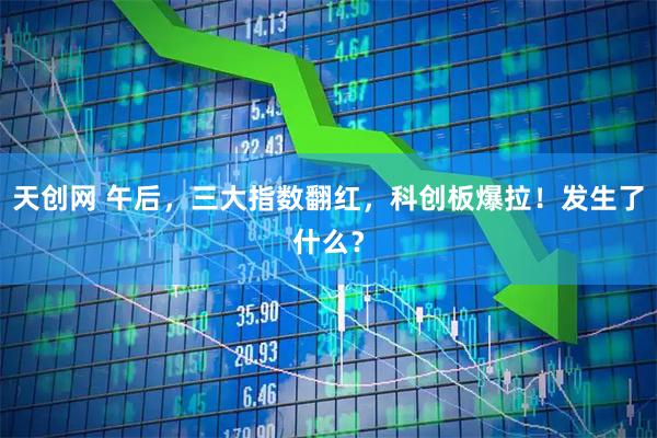 天创网 午后，三大指数翻红，科创板爆拉！发生了什么？
